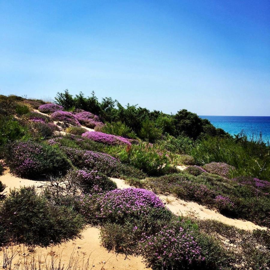 Corte Del Sole ماندوريا المظهر الخارجي الصورة